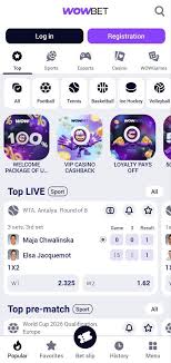 Казино с высоким RTP Играйте, выигрывайте, наслаждайтесь!